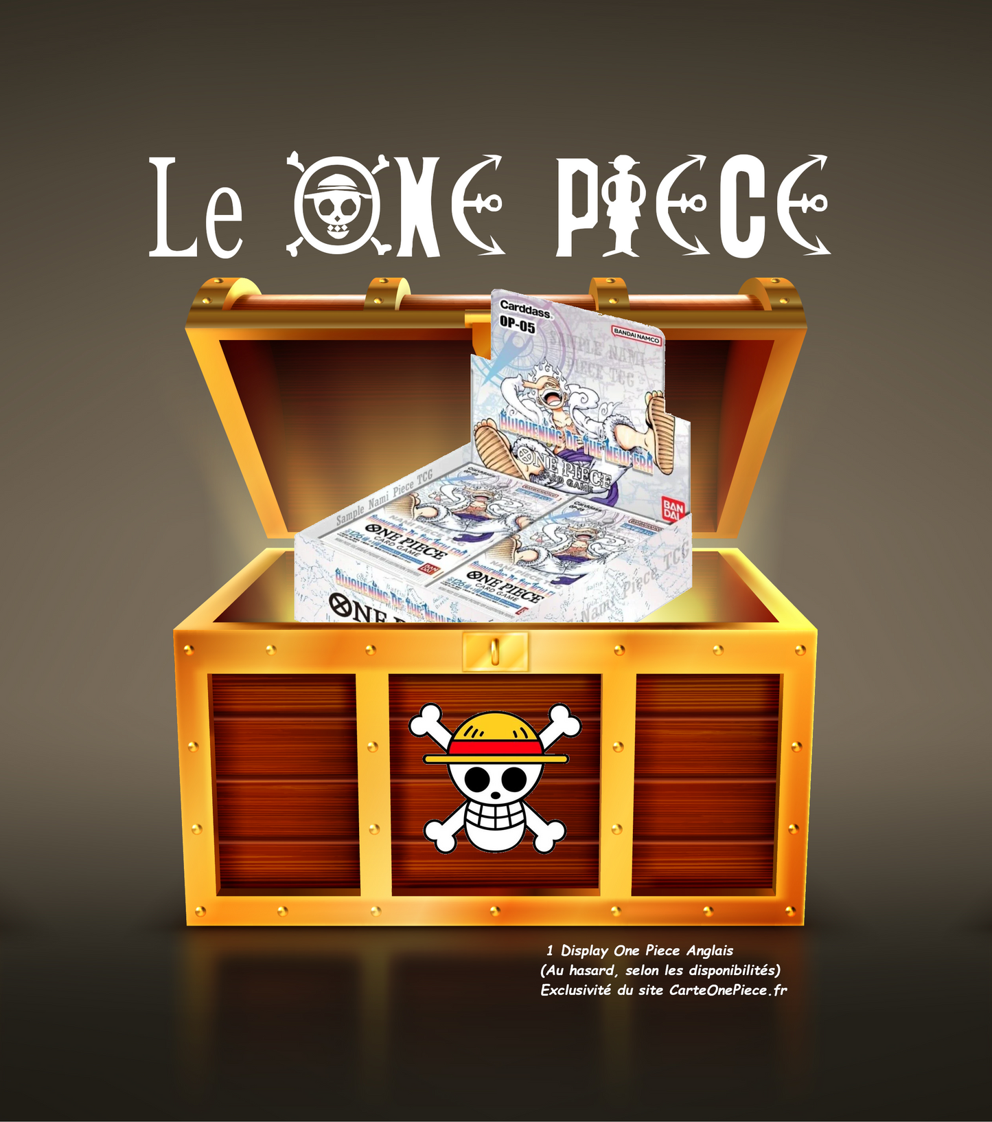 Le pack au trésor One Piece TCG ENG